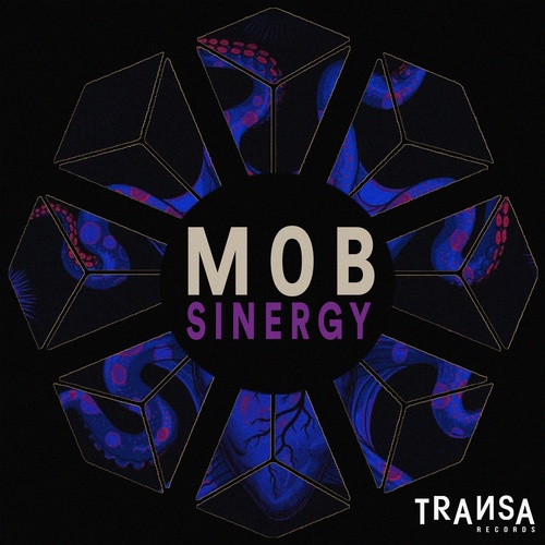 M0B - Sinergy [TRANSA272]